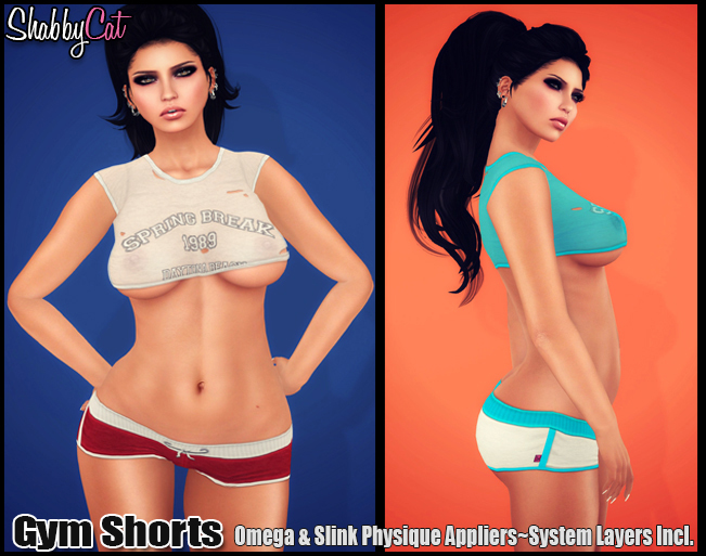 ~Shabby Cat Gym Shorts (gray)~