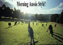 Morning Aussie Style! Poster