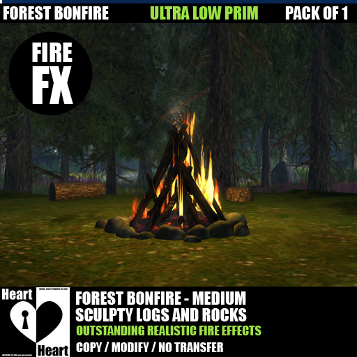 Fire - Forest Campfire - Bonfire Medium