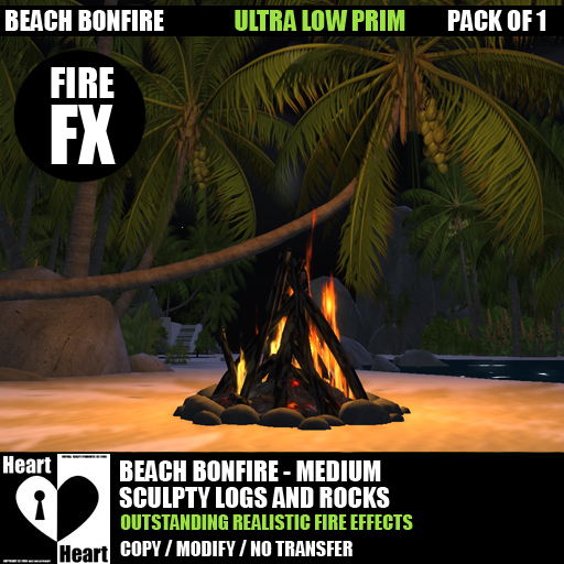 Fire – Beach Campfire – Bonfire - Medium - COPY / MODIFY