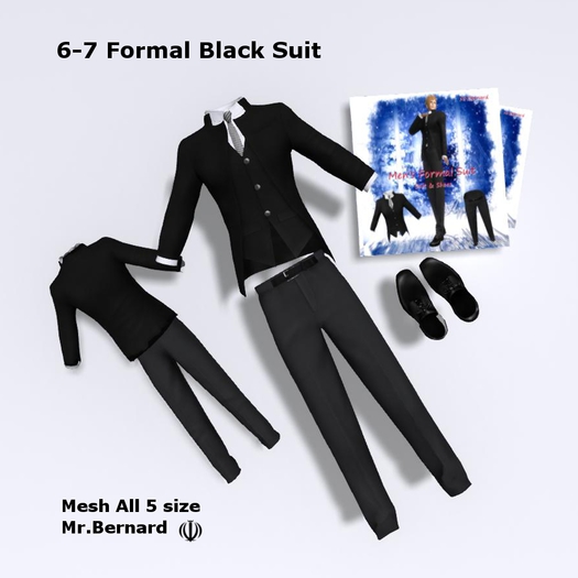 Men's Formal Suit 6-7 Box