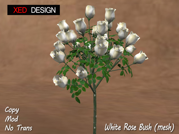 XD White Rose Bush (mesh)