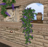 Fleuriste*Amphora Wisteria