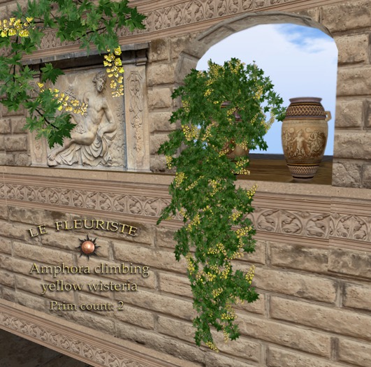 Fleuriste*Amphora Yellow  Wisteria