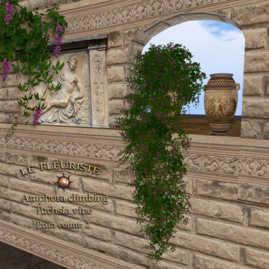 Fleuriste*Amphora Fuchsia Vine