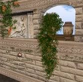 Fleuriste*Amphora Orange Vine