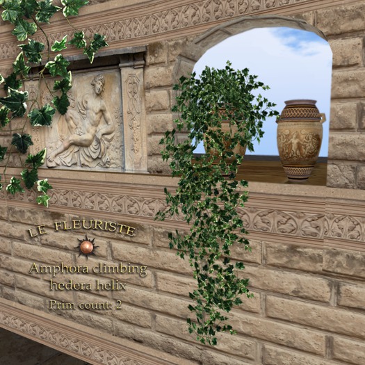 Fleuriste*Amphora Hedera