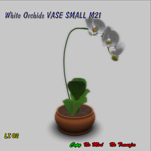 White Orchids VASE SMALL M 21 BOX