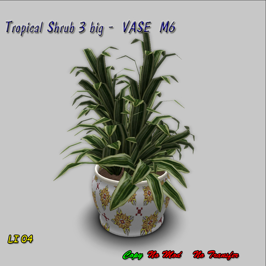 Tropical Shrub 3 big -  VASE  M6 BOX