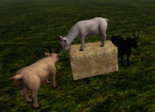 HHVET Victoriana - Frolicking Goats Decor