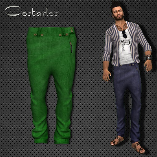 Costarlos Pants Baggy Zipped green mesh