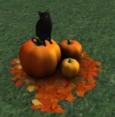 HHVET Victoriana - Fall Harvest Decoration