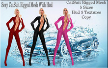 LSR - Sexy CatSuit Rigged Mesh With Hud