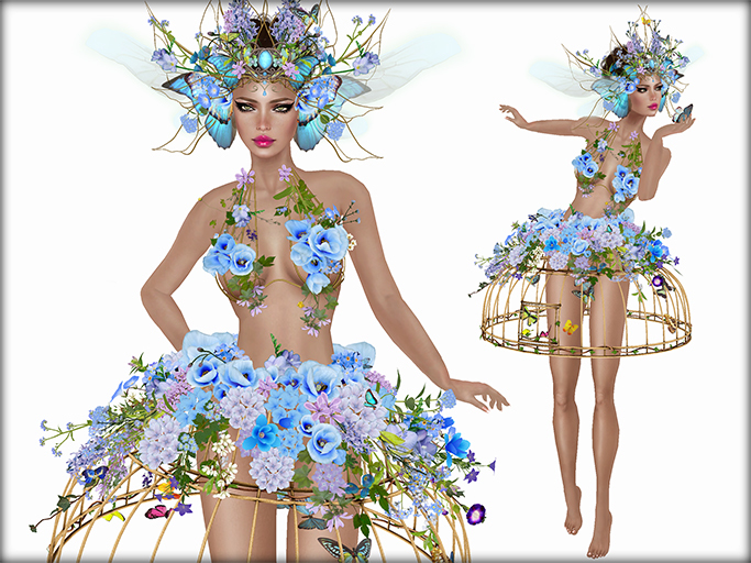 Boudoir-Butterfly Queen