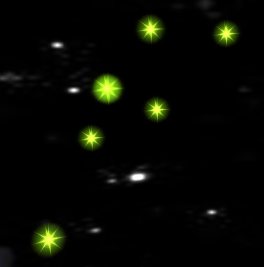 jadas stars flashing  yellow
