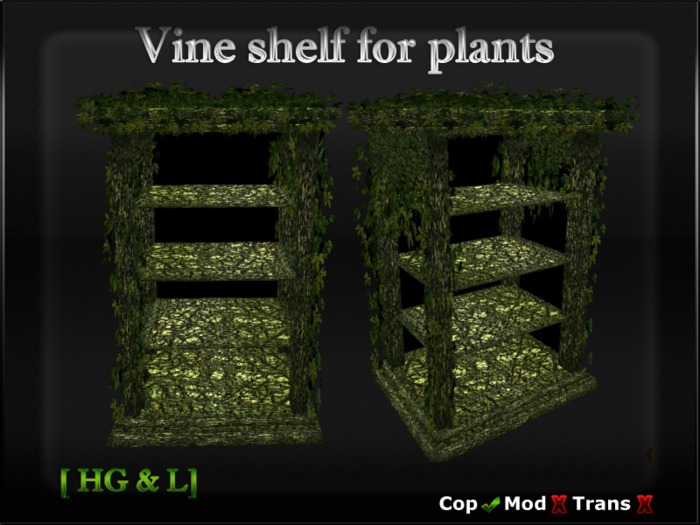 Shelf plants Vine - Boxed