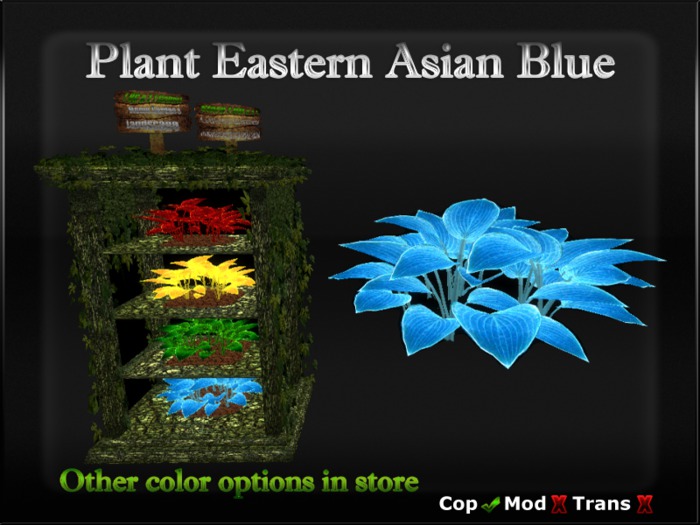 Asian plant  blue fantasy
