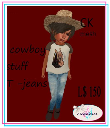 cowboy stuff  T