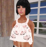 Promo GIFT Rigged MESH Top "cherry"
