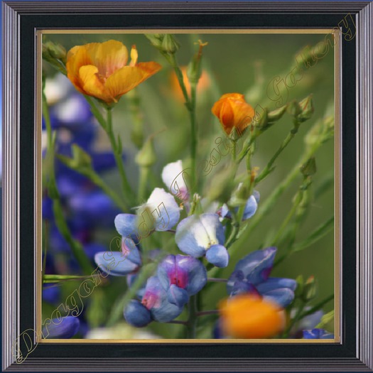 Artwork de Mexico - Bailando