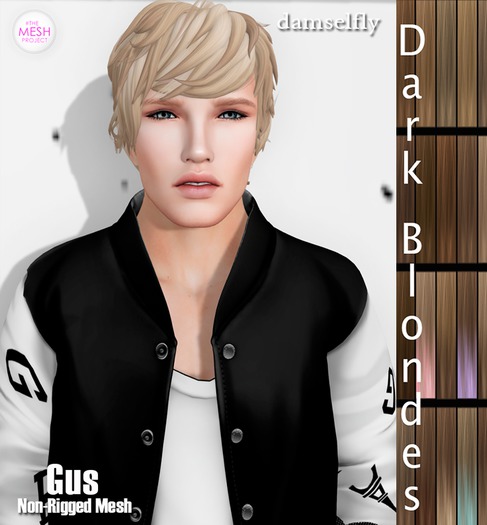 *~*Damselfly*~*Gus Non-Rigged Mesh Dark Blondes
