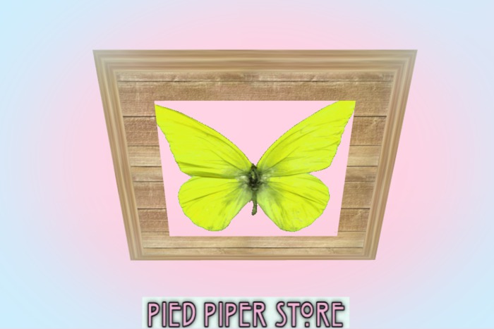 Pied Piper Framed Butterfly