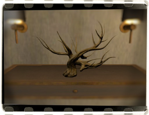 Branch Art