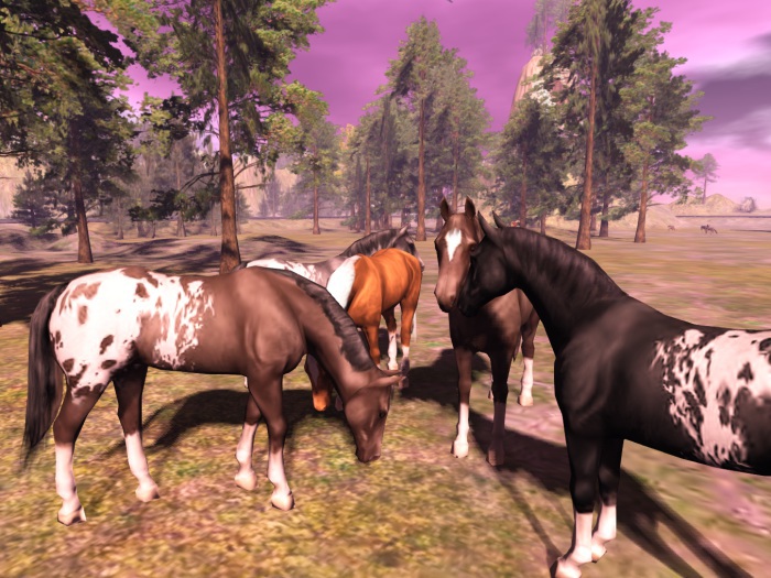 >VAL< 5 Horses
