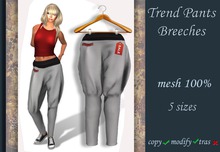 Trend Pants Breeches v.12