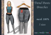 Trend Pants Breeches v.11