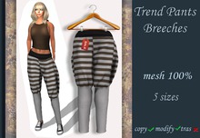 Trend Pants Breeches v.10