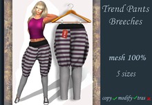 Trend Pants Breeches v.9