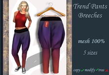 Trend Pants Breeches v.8