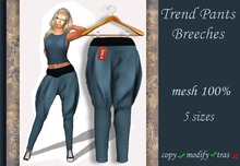 Trend Pants Breeches v.7