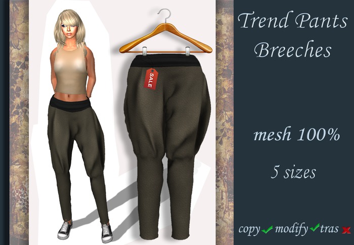 Trend Pants Breeches v.4