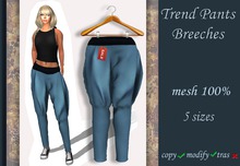 Trend Pants Breeches v.2