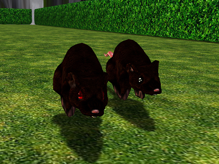 Runny Rats Brown Pair, Animated Free Roaming