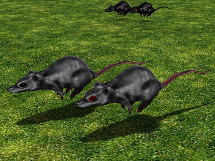 Runny Rats Grey Pair, Animated Free Roaming