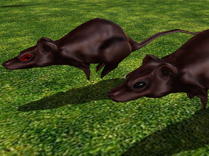 Runny Rats Hairless Pair, Animated Free Roaming