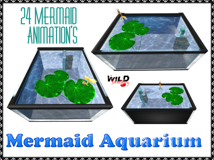 <WF>Mermaid Aquarium