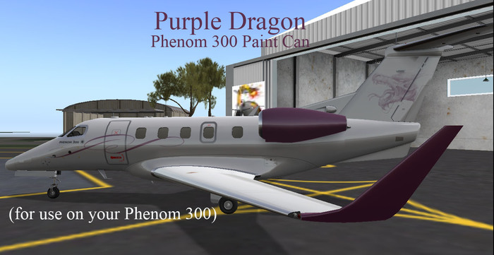Paint Phenom300 (Dragon 02)