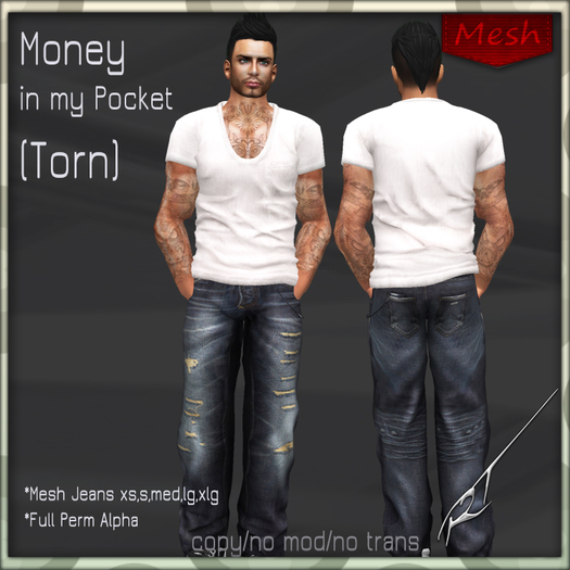 Ruca Tease Mesh Jeans STRIPES