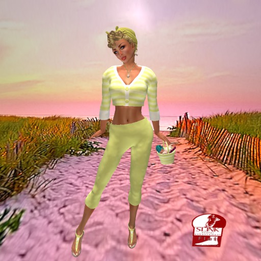 BINARY FAIRY SHELL SEEKER SUNNY SLINK FLAT BOX