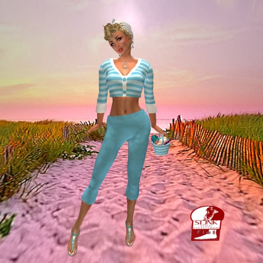 BINARY FAIRY SHELL SEEKER BLUE SLINK FLAT BOX