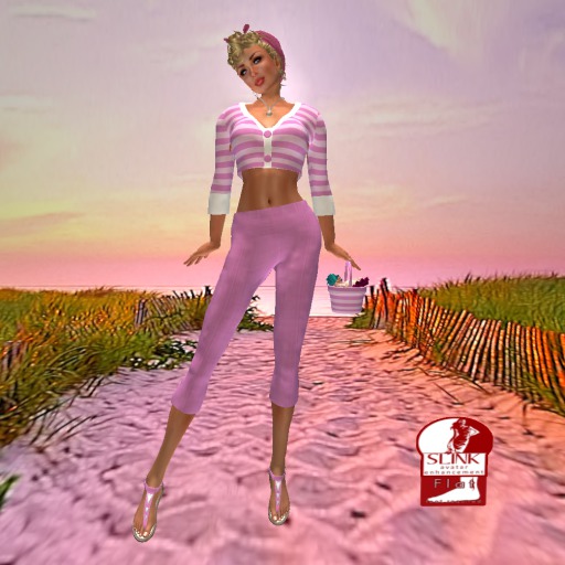 BINARY FAIRY SHELL SEEKER PINK SLINK FLAT BOX