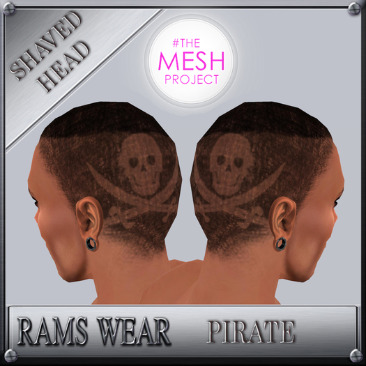 RWHB22-Rams Wear-pirate#TMP applier