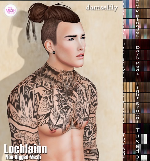 *~*Damselfly*~*Lochlainn Non-Rigged Mesh Big Pack