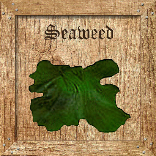 Seaweed  HOLZ Textures