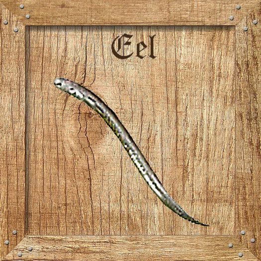Eel HOLZ Textures