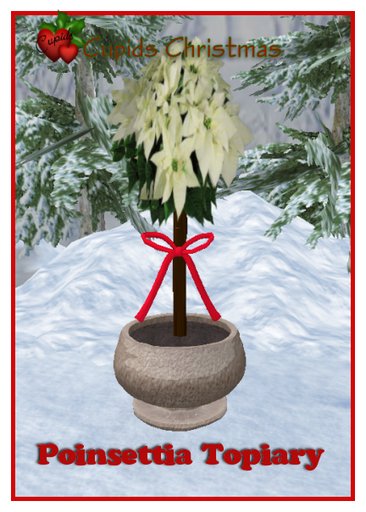 Poinsettia Topiary White